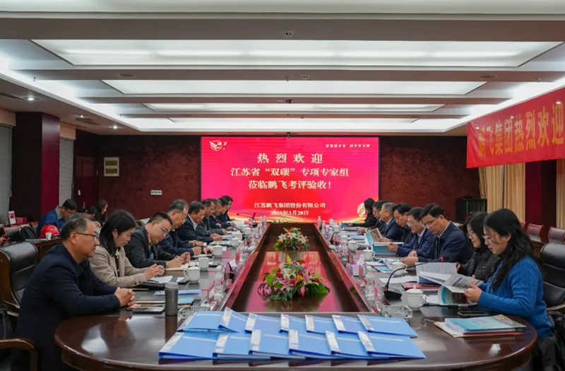 鵬飛集團“低階煤綠色潔凈利用熱解技術裝備研發及產業化”項目通過驗收